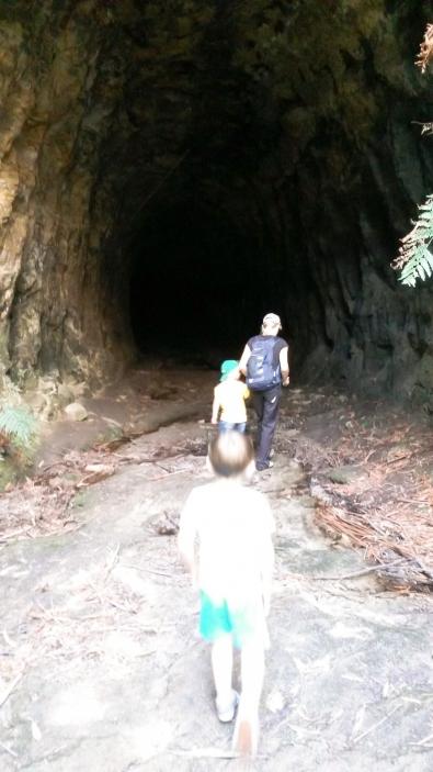 Вход в тоннель